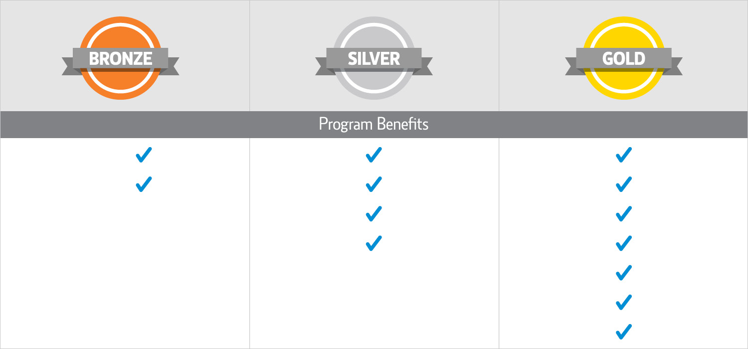 chart showing an example of tiers by types of metals